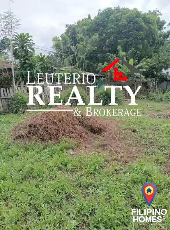 Residential Lot For Sale in Gumaca Quezon Near LTO along Cemented Road