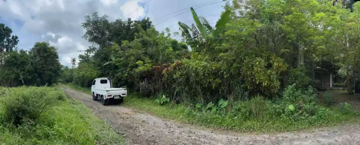 Granada Lot For Sale — Agricultural Lot in Bacolod, Bacolod, Negros Occidental — Photo 3