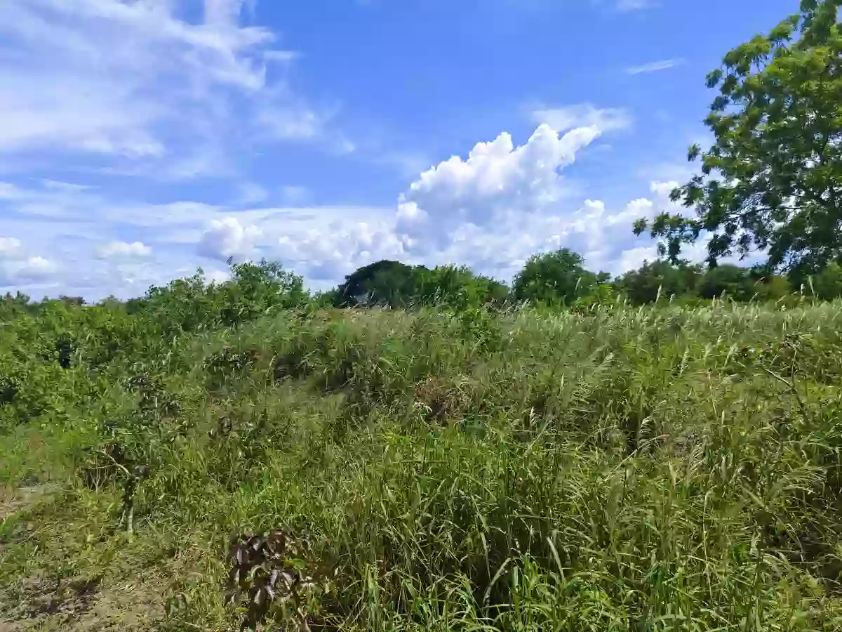 150 Titled Residential Lot in Gensan — Residential Lot in General Santos City, South Cotabato, Philippines — Photo 4