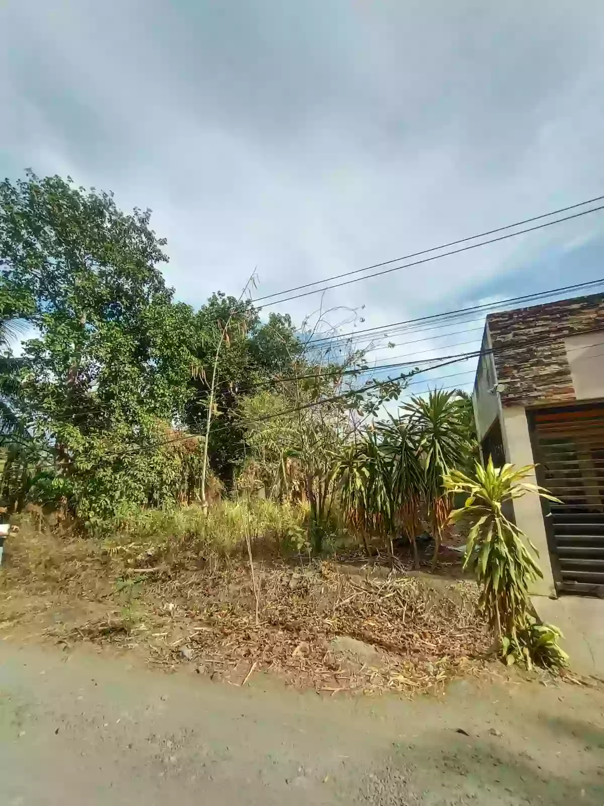 Lot For Sale — Residential Lot in Bacolod City, Negros Occidental, Philippines — Photo 4