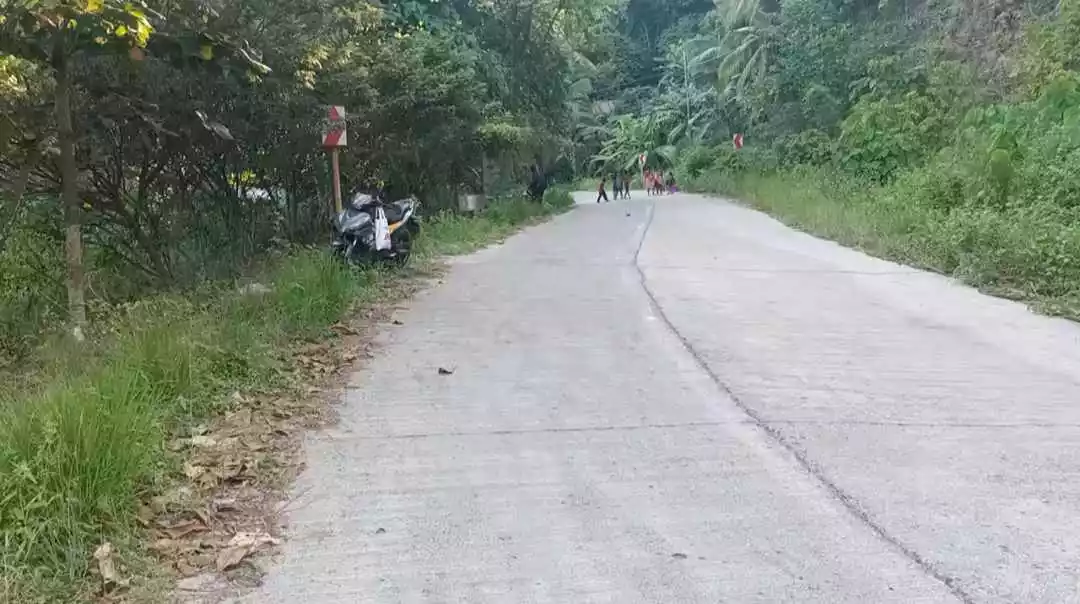 Exclusive Beachfront Property in Samal: Your Private Paradise Awaits — Beach Lot in Island Garden City of Samal, Davao del Norte, Philippines — Photo 4