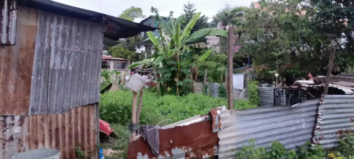 Lot For Sale in Canlingo, Sabang Danao City — Residential Lot in Danao City, Cebu, Philippines — Photo 2