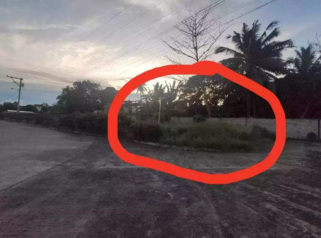 0009356 — Residential Lot in Talomo, Davao City, Davao del Sur — Photo 4