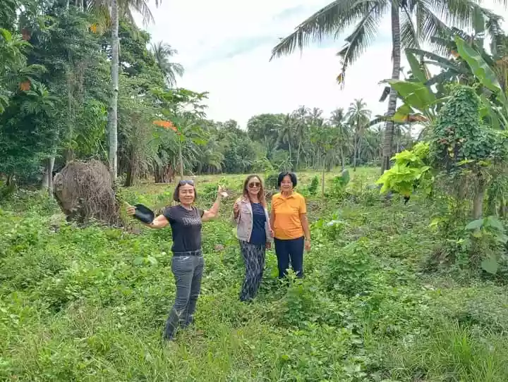 Residential Lot For Sale at Tak an. Tabuc Camalig Bato.Danao City — Residential Lot in Danao City, Cebu, Philippines — Photo 6