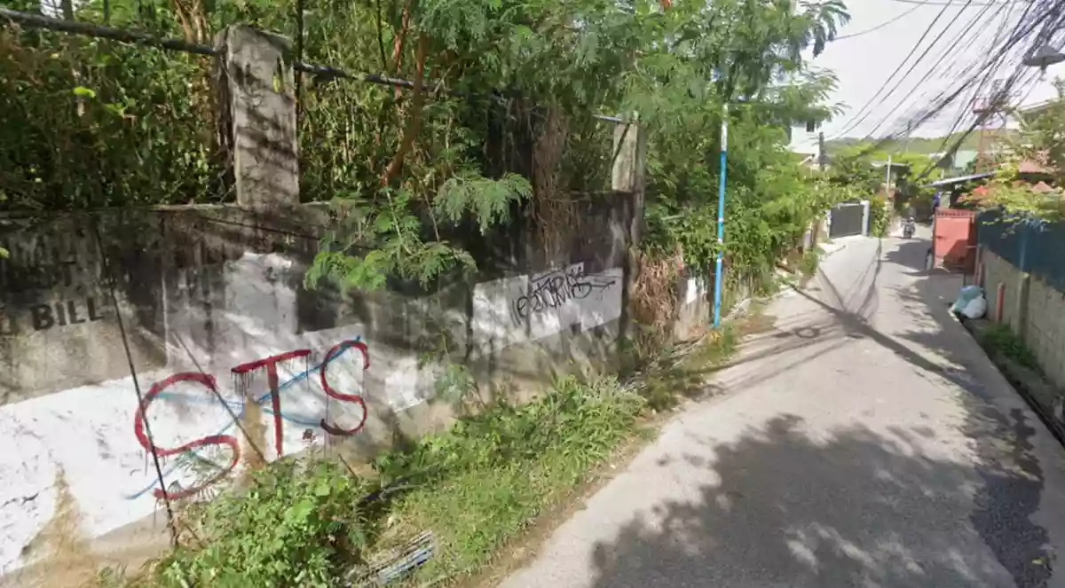 2000 SQM Rush Commercial Lot for sale in Barangay Cansaga Consolacion Cebu — Commercial Lot in Consolacion, Cebu, Philippines — Photo 3