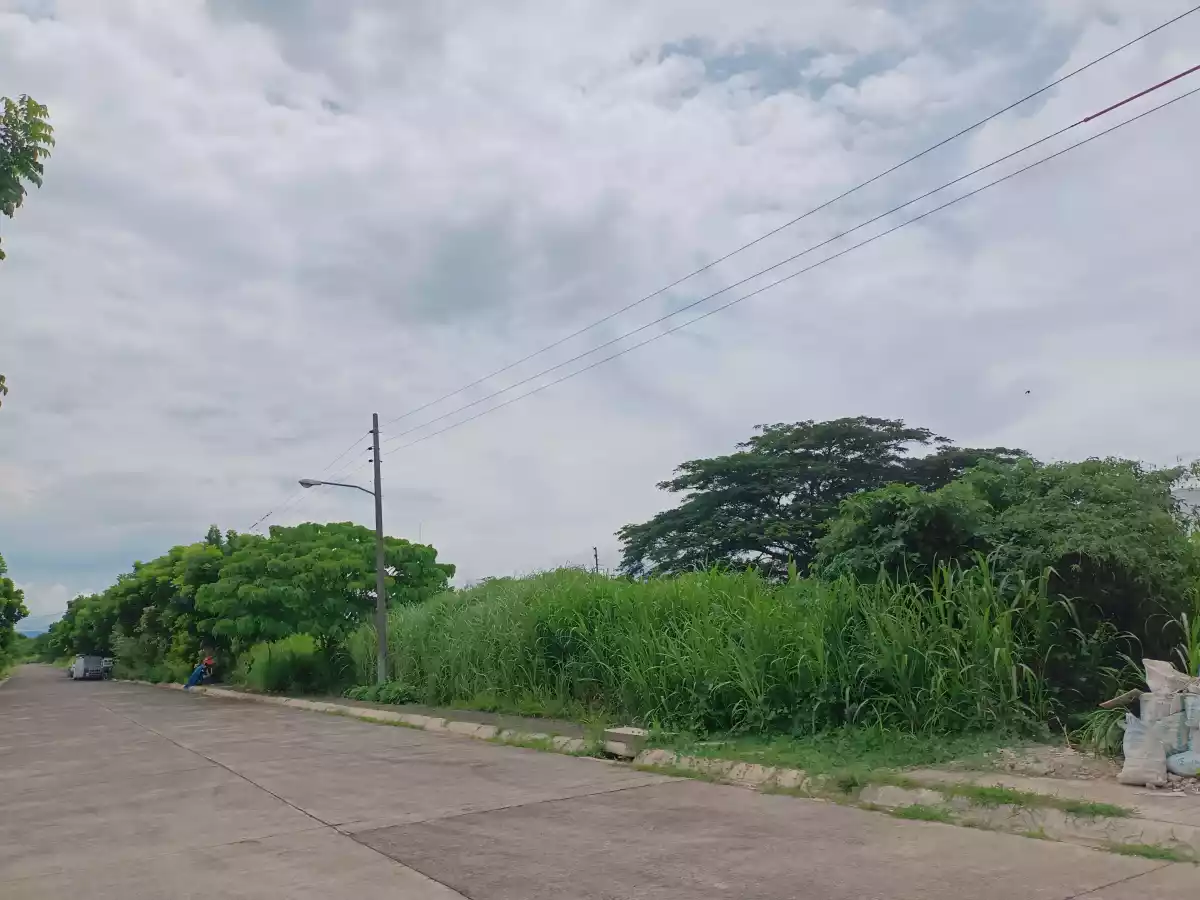 Lot For Sale — Residential Lot in Naga, Camarines Sur, Philippines — Photo 4