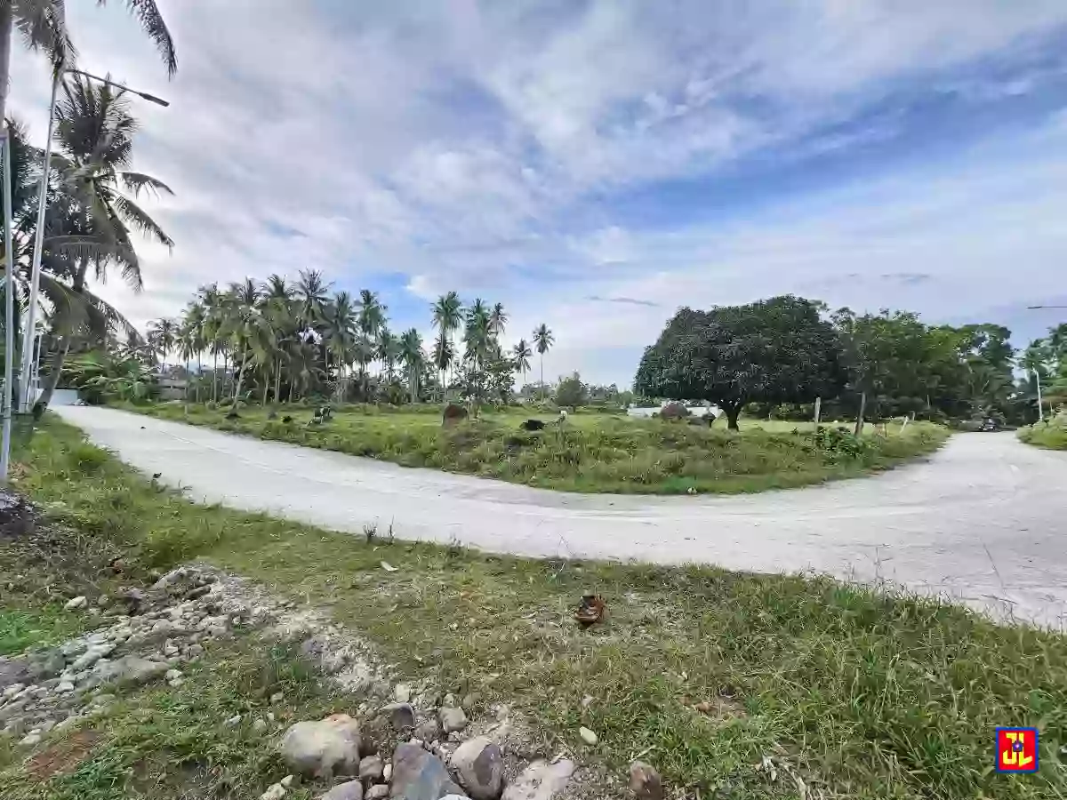 Rush Sale 5,885sqm Corner Lot in Balayag Manok, Bacong [available]