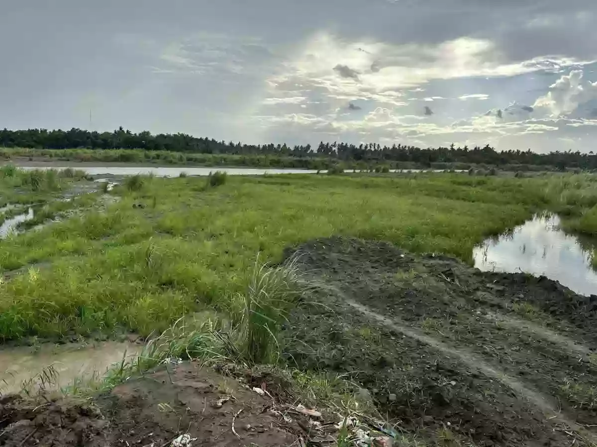 Baluntay Alabel Lot for Sale Good for Quarrying