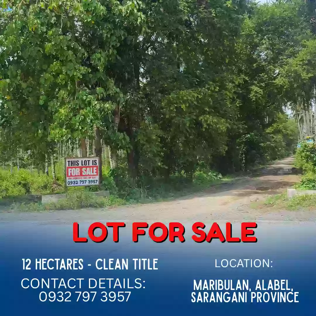 ALABEL LOT FOR SALE (12 HECTARES) — Residential Lot in Alabel, Sarangani, Philippines — Photo 2