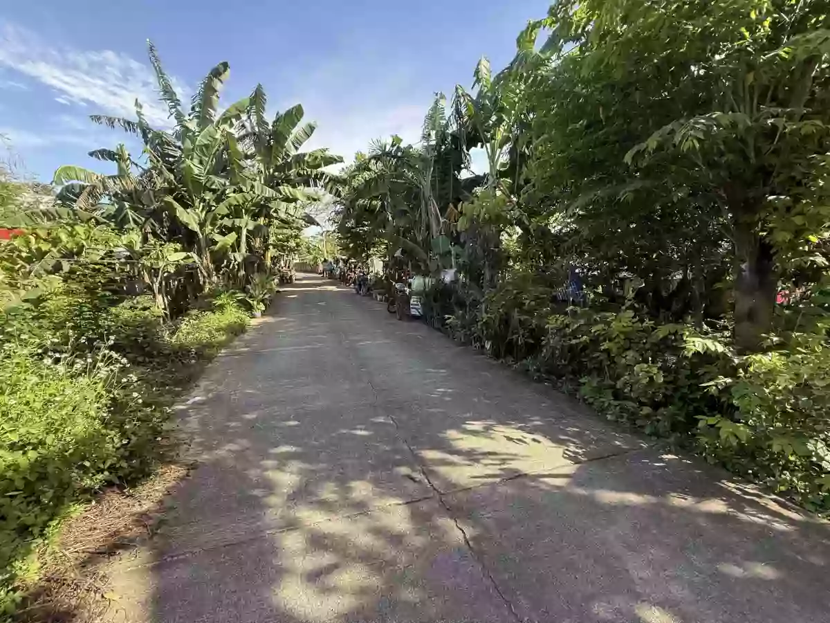 Lot for sale in Cordova Cebu — Residential Lot in Cordova, Cebu, Philippines — Photo 4
