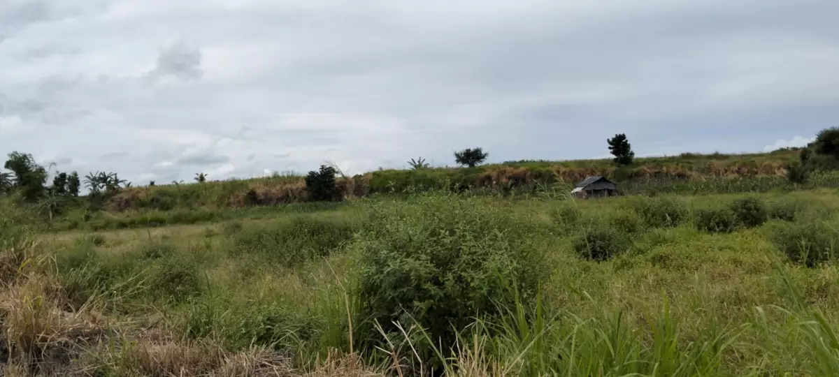 San Jose Lot — Agricultural Lot in General Santos City, South Cotabato, Philippines — Photo 2