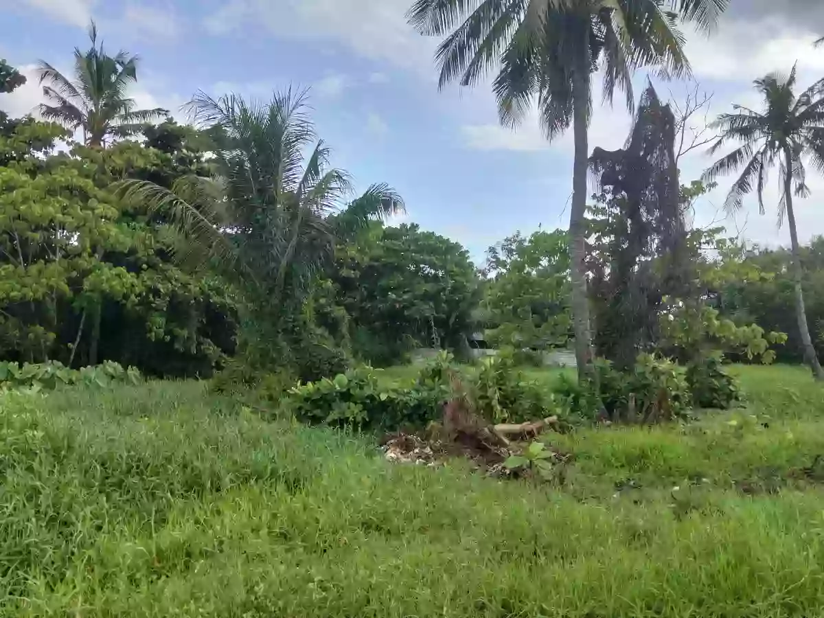 LOT — Residential Lot in General Santos City (Dadiangas), South Cotabato, Philippines — Photo 3