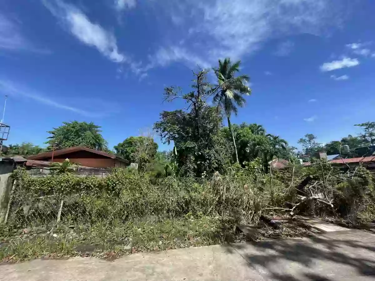 COMMERCIAL LOT FOR SALE IN BACOLOD! — Commercial Lot in Bacolod, Negros Occidental, Philippines — Photo 2