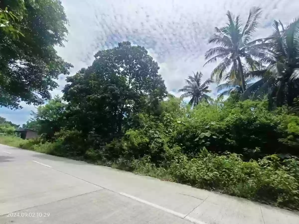 COMMERCIAL LOT ALONG CIRCUMFERENTIAL ROAD IN CAMUDMUD, SAMAL ISLAND, DAVAO DEL NORTE — Commercial Lot in Island Garden City of Samal, Davao del Norte, Philippines — Photo 6