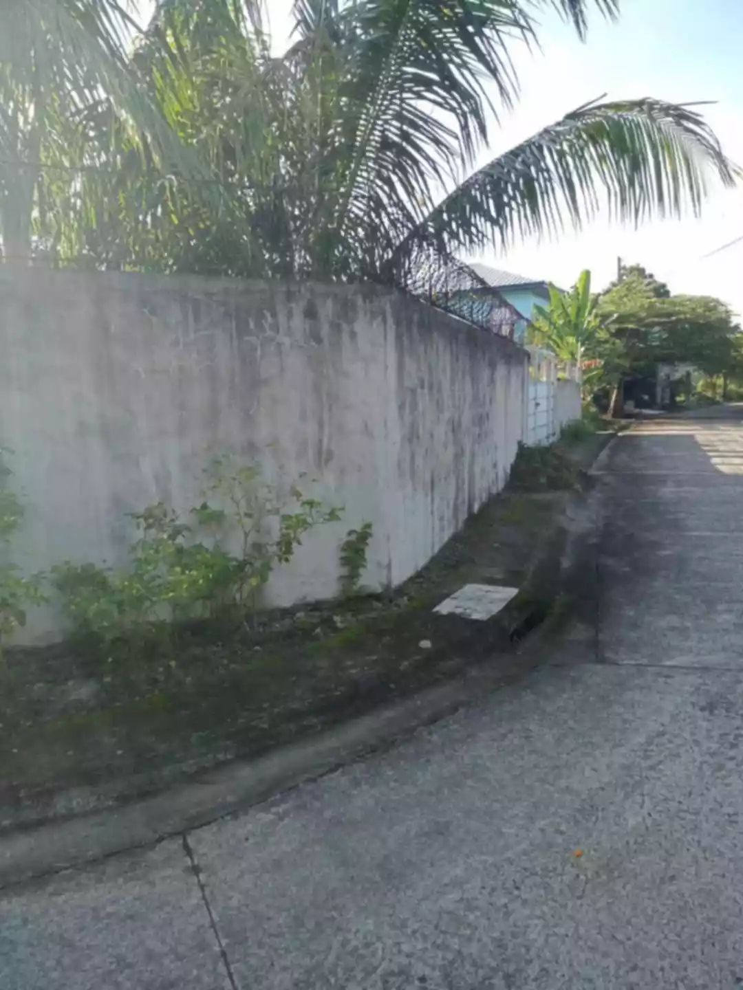 LOT FOR 400sq.m. Lot area both Corner Lot — Residential Lot in Talisay City, Negros Occidental, Philippines — Photo 5