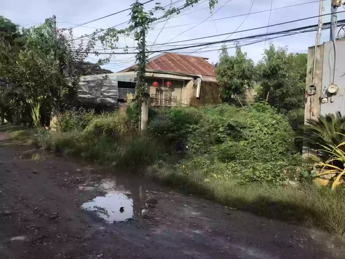 Lot for Sale in Minglanilla