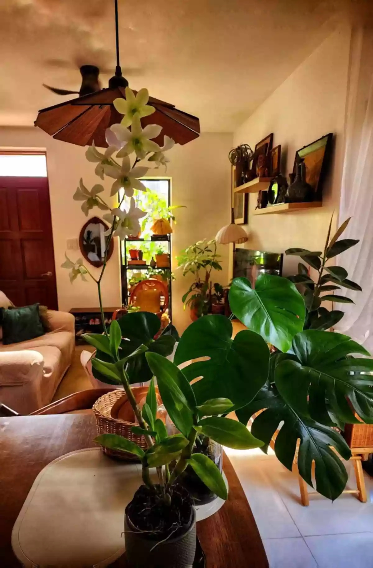 FOR ASSUME HOUSE AND LOT - SPECIAL UNIT CORNER — House and Lot in Cebu City, Cebu, Philippines — Photo 6
