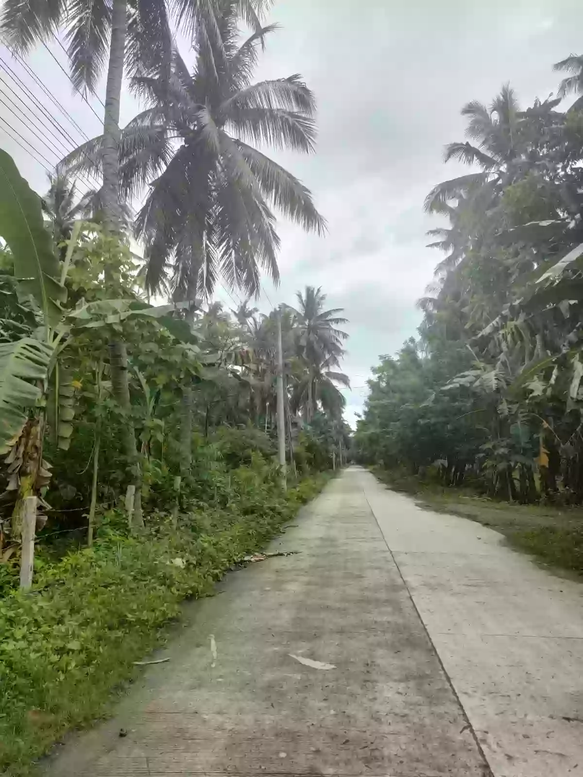 Commercial Lot — Commercial Lot in 1, General Santos City (Dadiangas), South Cotabato — Photo 4