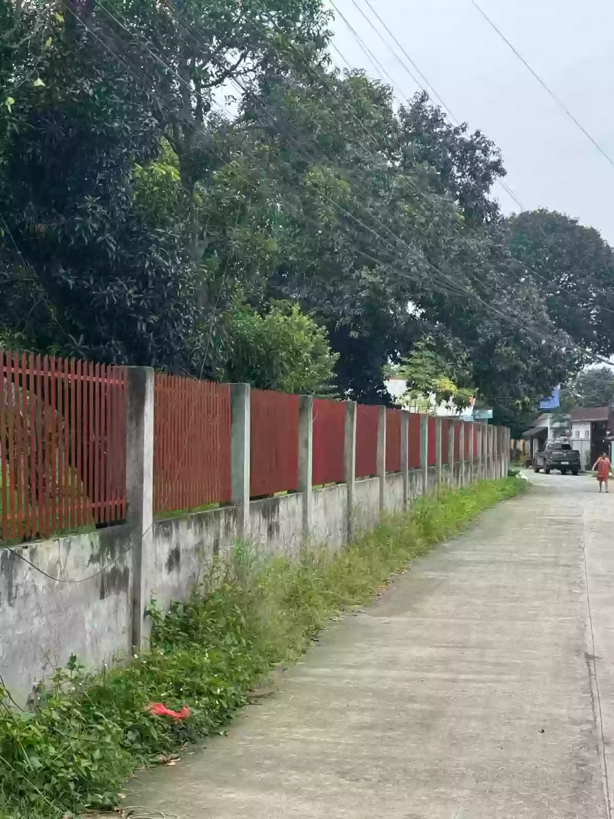 LOT FOR SALE IN BATAAN, DIGOS CITY (LOCATED NEAR GOVERNMENT ESTABLISHMENTS) — Commercial Lot in Digos City, Davao del Sur, Philippines — Photo 3