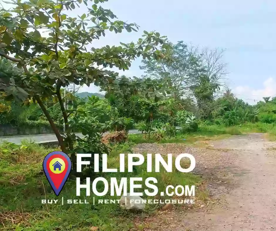 For sale Prime Commercial Lot with Beach Front Along National Highway Gate way to Bicol and Manila Located in Atimonan Quezon — Beach Lot in Quezon, Philippines — Photo 6