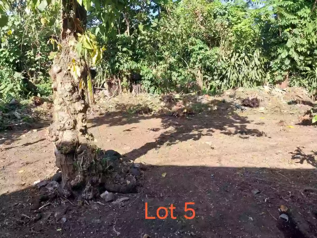 Residential Lot for Sale in Doña Josefa Pawa Tabaco Albay