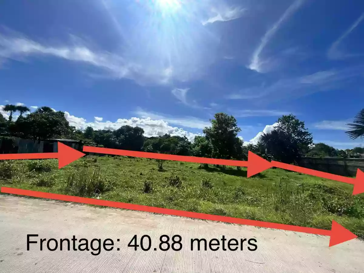 LOT ONLY FOR SALE @ San Vicente, Liloan