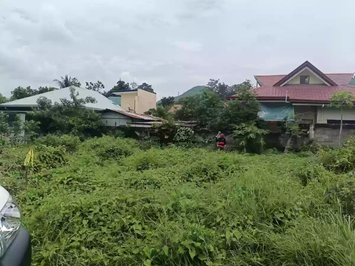 For Sale Residential Lot in Minglanilla — Residential Lot in Minglanilla City, Cebu, Philippines — Photo 4