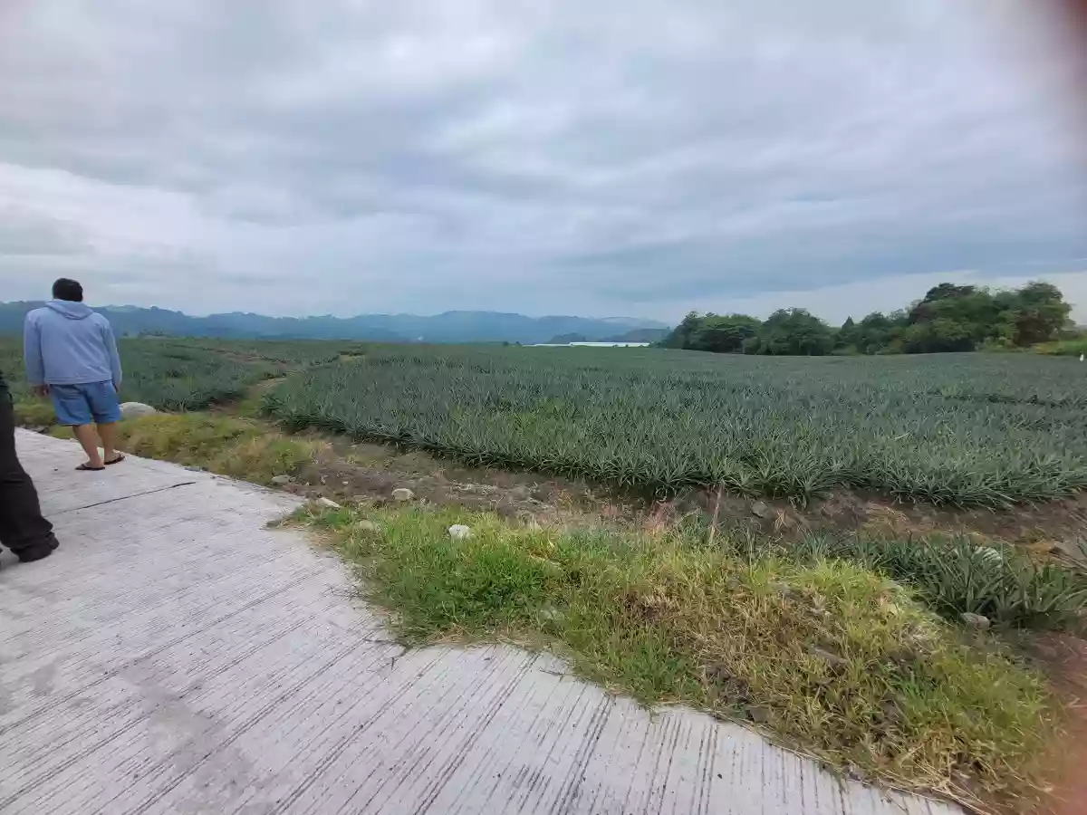 Carino Property