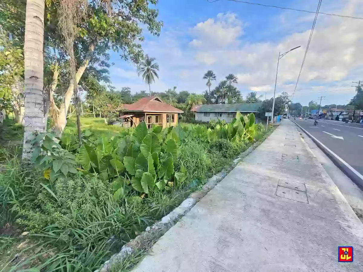 Amazing Sale! National Highway Commercial Lot in Banilad, Bacong! [available] — Commercial Lot in Dumaguete, Negros Oriental, Philippines — Photo 3