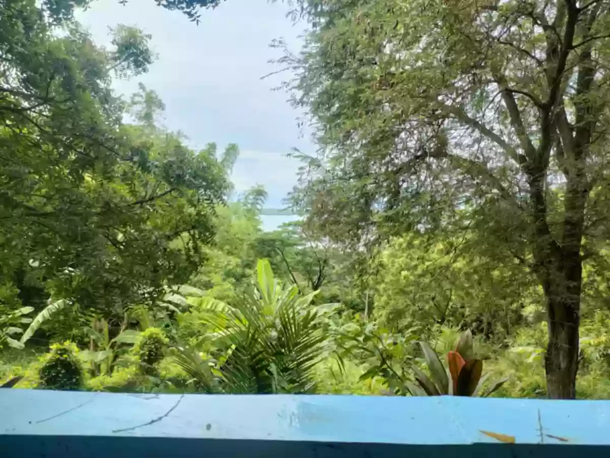 Overlooking Lot For Sale in Bahia,Dewey Island,Capiñahan, Bais City — Agricultural Lot in Bais City, Negros Oriental, Philippines — Photo 2