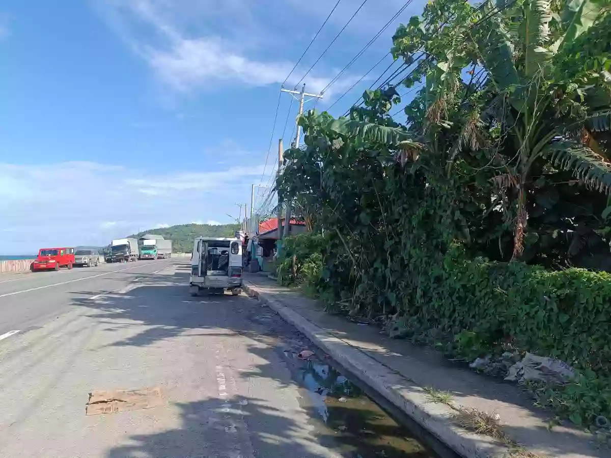 Residential Lot For Sale, along National highway Located in Calumanguin Gumaca Quezon — Residential Lot in Gumaca, Quezon, Philippines — Photo 3