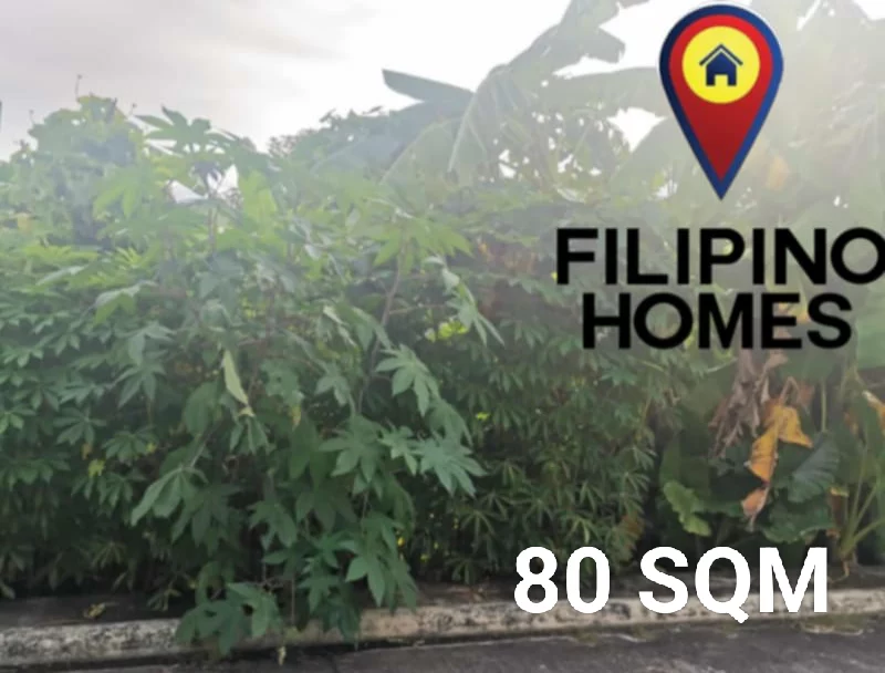 RESIDENTIAL LOT FOR SALE — Residential Lot in Naga City, Camarines Sur, Philippines — Photo 5