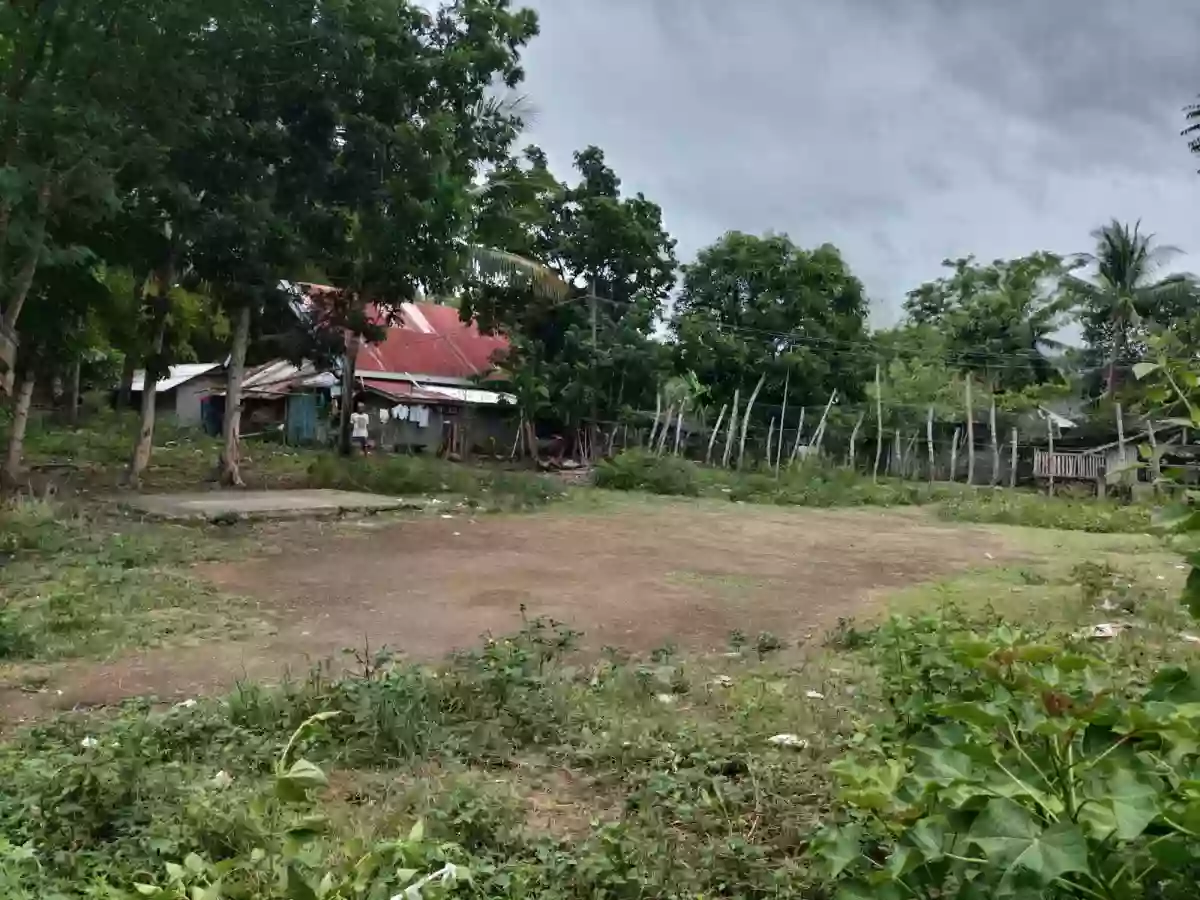 RUSH LOT FOR SALE — Residential Lot in Amlan, Negros Oriental, Philippines — Photo 5