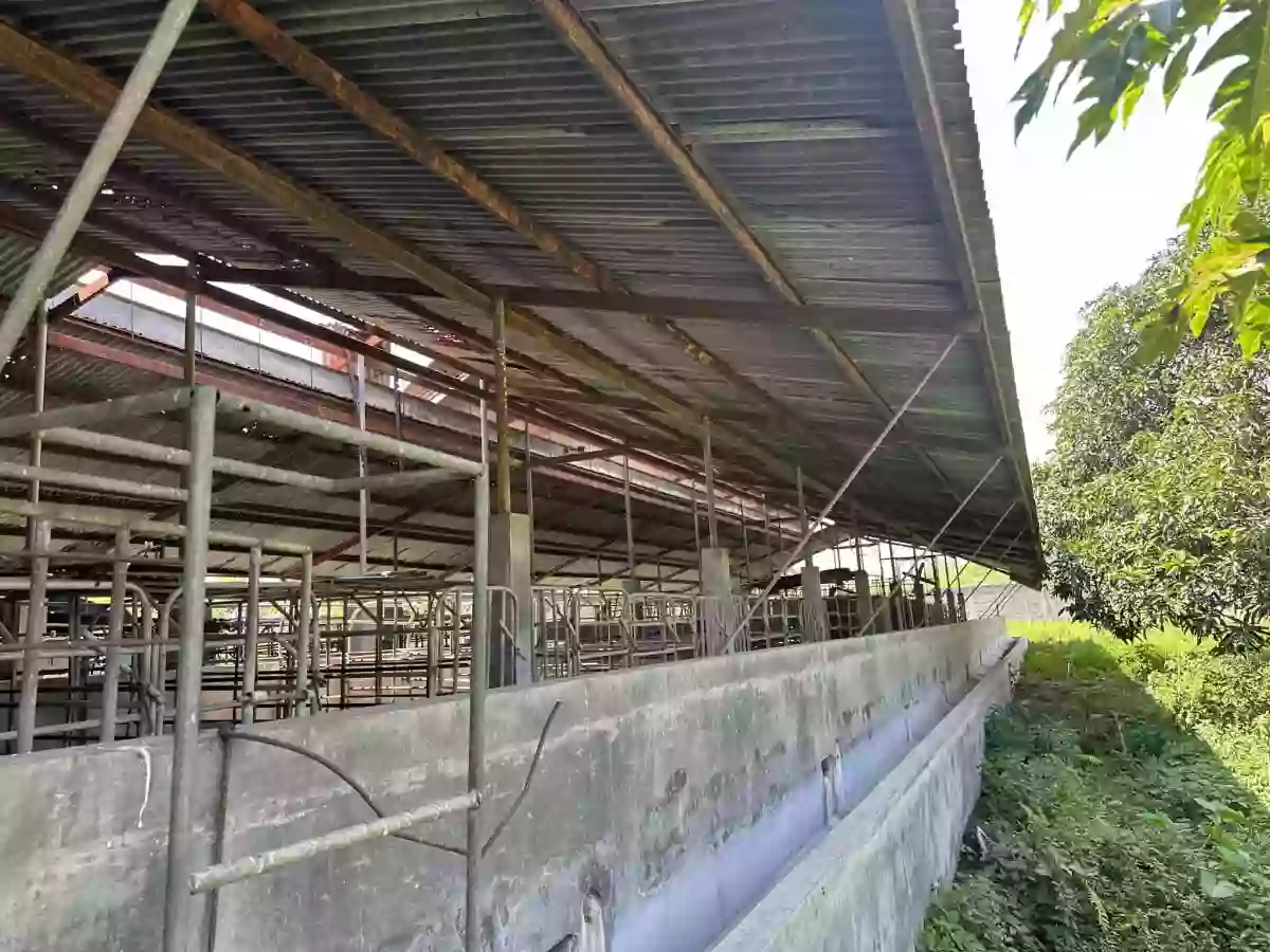 Open photo 17 of 20 — Piggery/Farm Lot For Sale in Odagre General Santos City Socksargen