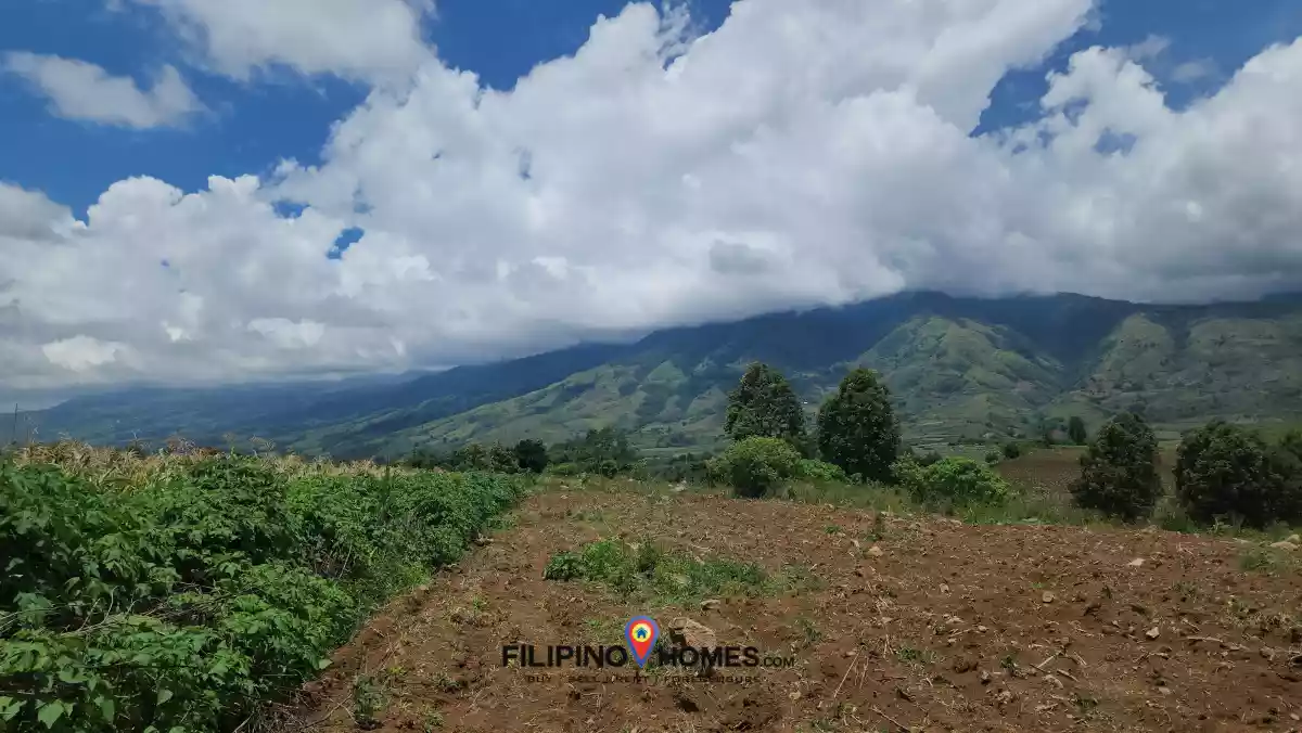 1.6 hectares Farm Lot for Sale in Basak, Lantapan, Bukidnon — Agricultural Lot in Lantapan, Bukidnon, Philippines — Photo 2