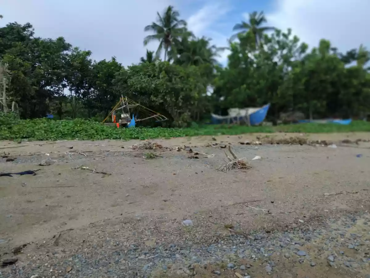 Beach Front Property For Sale (Hinoba-an) — Beach Lot in Negros Occidental, Philippines — Photo 3