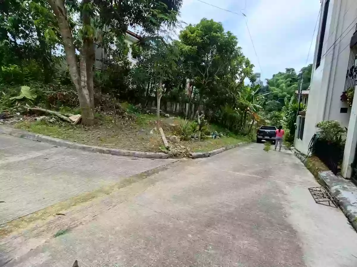 Residential Lot for Sale — Residential Lot in Cebu City, Cebu, Philippines — Photo 3