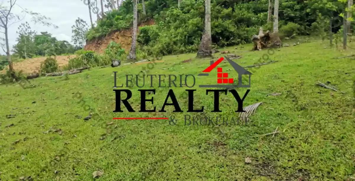 1000 SQM AGRI-FARM LOT FOR SALE — Agricultural Lot in Daraga, Albay, Philippines — Photo 3