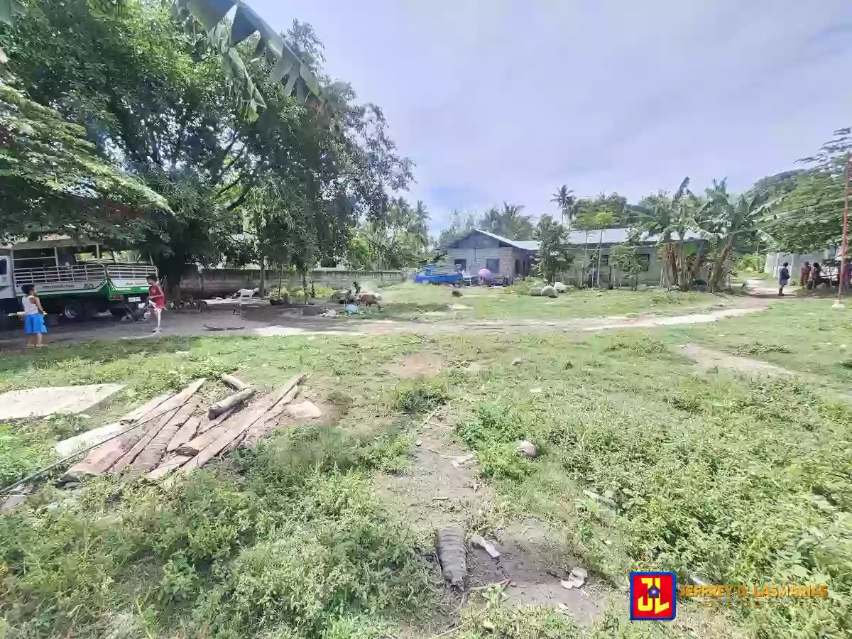 Rush Sale! 772sqm Lot in Combado, Bacong [available] — Residential Lot in Bacong, Negros Oriental, Philippines — Photo 2