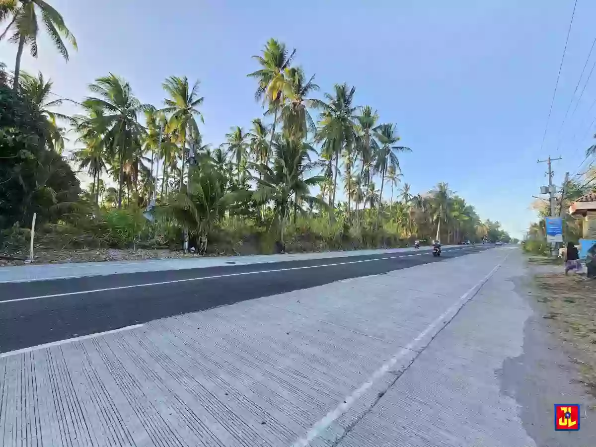 Rush Sale Amazing Commercial Lot Along National Highway Masaplod, Dauin [available] — Commercial Lot in Negros Oriental, Philippines — Photo 3