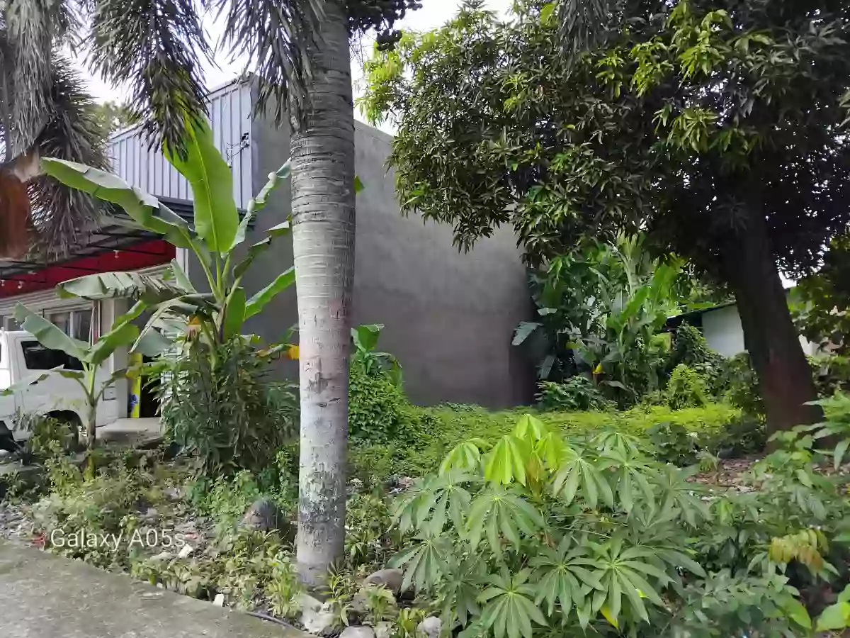 Commercial lot for sale — Commercial Lot in Negros Occidental, Philippines — Photo 4