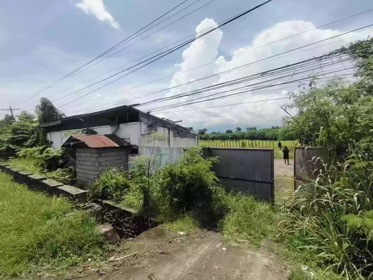 Prime Lot Along National Highway – Tanjay City, Negros Oriental — Residential Lot in Tanjay City, Negros Oriental, Philippines — Photo 2
