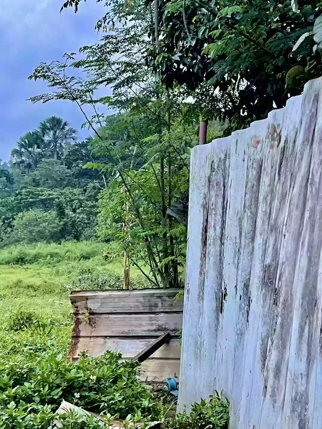 Prime Investment Opportunity in BINALIW, CEBU CITY — Residential Lot in Cebu City, Cebu, Philippines — Photo 3