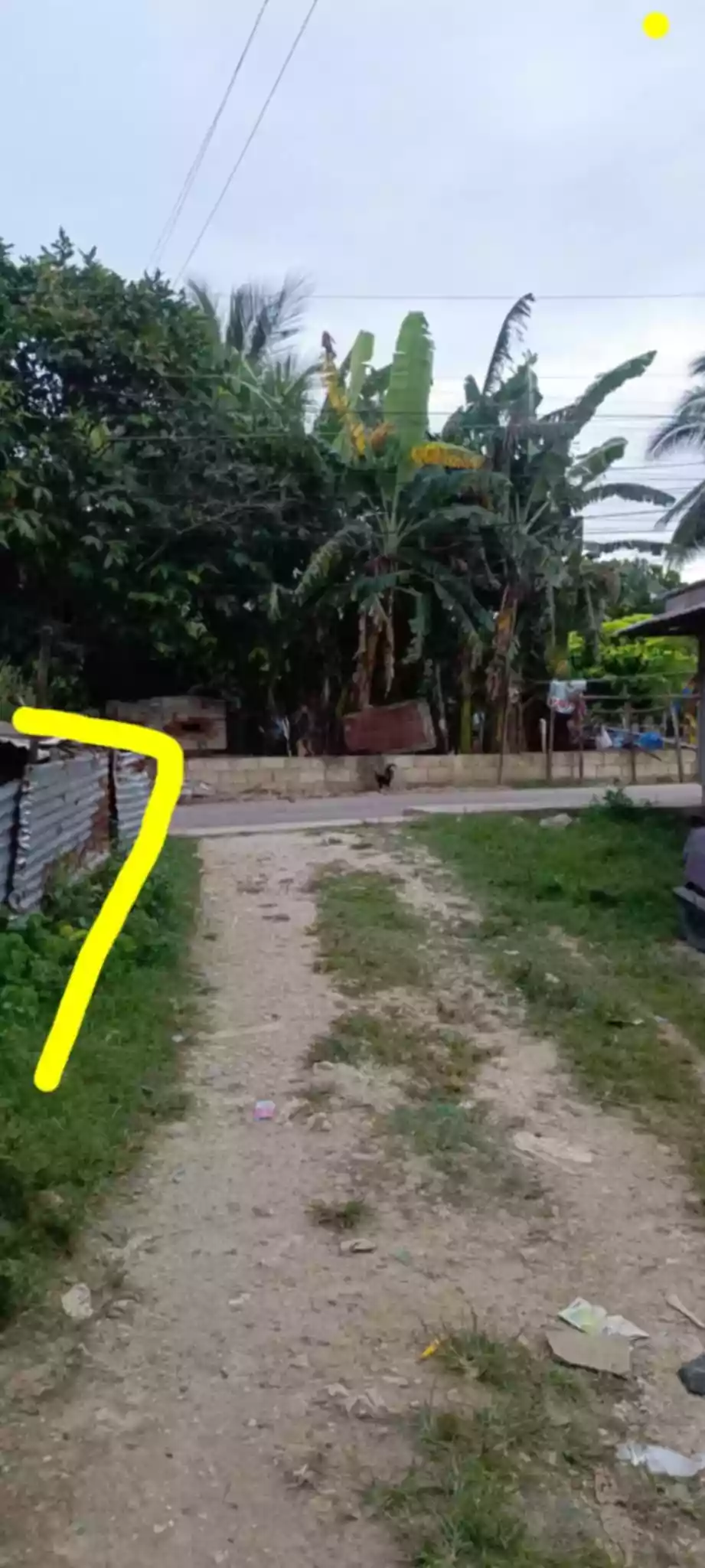 Lot For Sale in Canlingo, Sabang Danao City