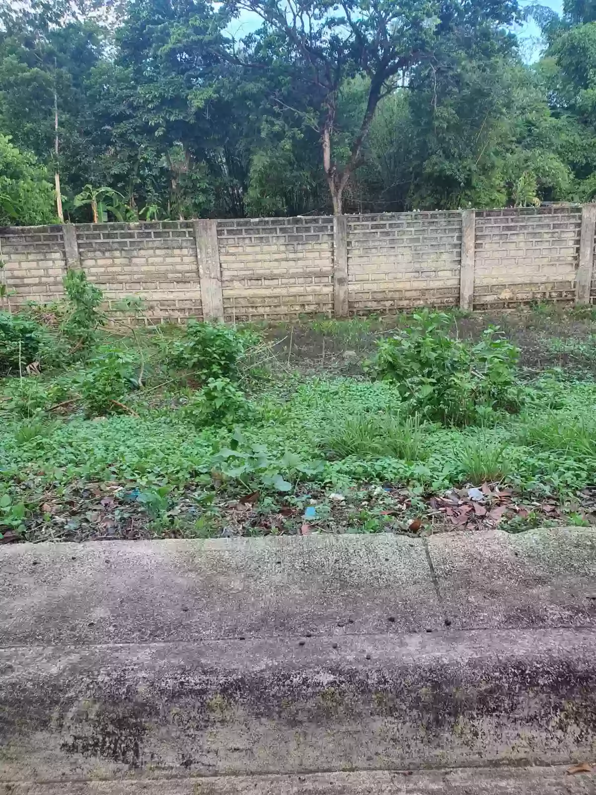 RESIDENTIAL LOT 121(sqm.) FOR SALE IN CEBU CITY — Residential Lot in Cebu City, Cebu, Philippines — Photo 3