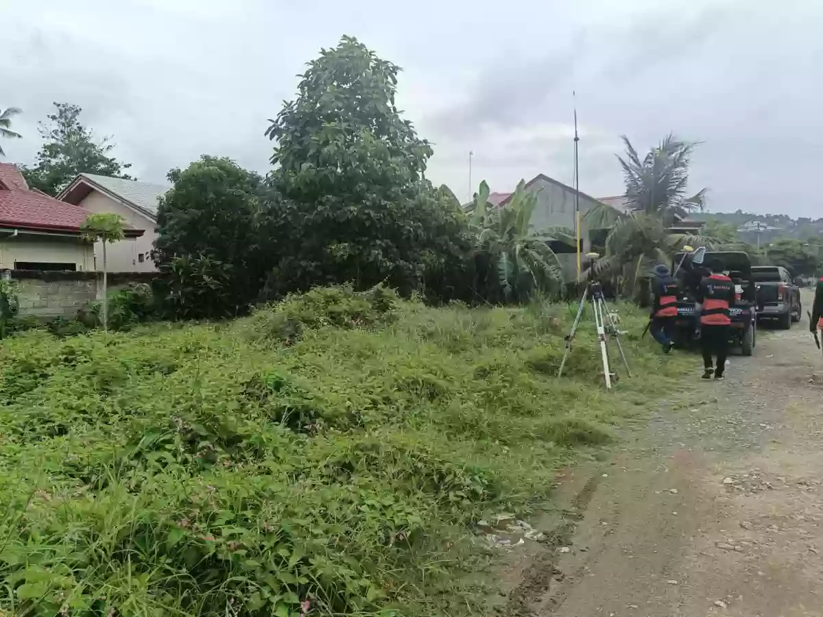 For Sale Residential Lot in Minglanilla