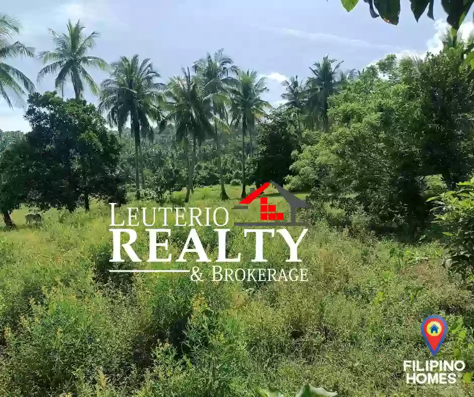 Agricultural Lot For sale Located in Brgy. Inalig Atimonan Quezon 5,815sqm — Agricultural Lot in Inalig Road, Atimonan, Quezon — Photo 3