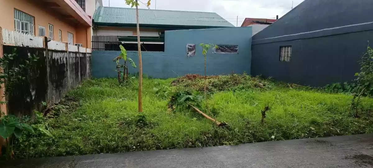 Lot for Sale!!! — Residential Lot in Naga City, Camarines Sur, Philippines — Photo 3