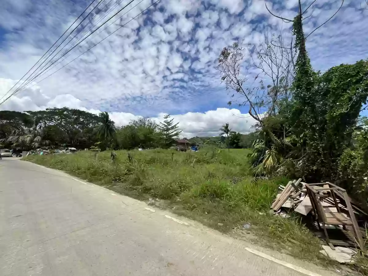 8,681 sqm AGRICULTURAL Lot for sale in COTCOT, LILOAN [TITLED]