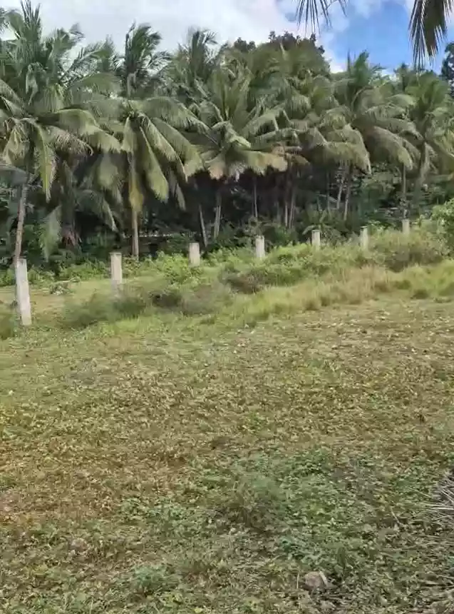 Own a Piece of Paradise – Beach Lot for Sale! — Beach Lot in Cebu, Philippines — Photo 5